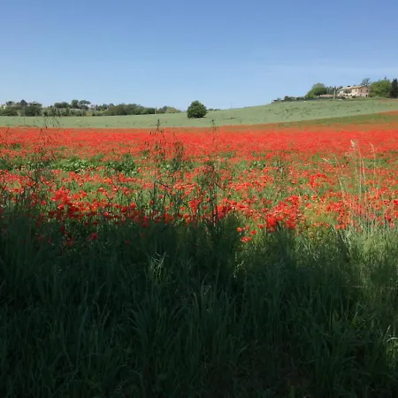 Finestra Conero